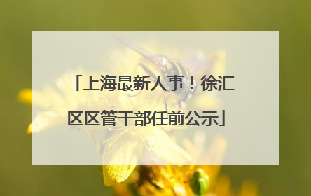上海最新人事！徐汇区区管干部任前公示