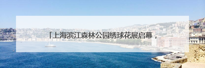 上海滨江森林公园绣球花展启幕，近5万株绣球花海打造治愈系画面