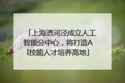 上海漕河泾成立人工智能分中心，将打造AI技能人才培养高地