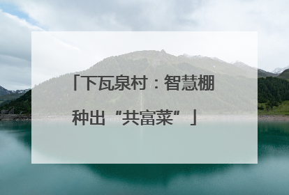 下瓦泉村：智慧棚种出“共富菜”