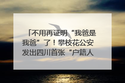 不用再证明“我爸是我爸”了！攀枝花公安发出四川首张“户籍人口直系亲属关系谱”