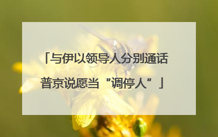 与伊以领导人分别通话 普京说愿当“调停人”