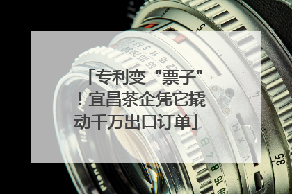 专利变“票子”！宜昌茶企凭它撬动千万出口订单