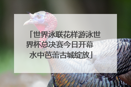 世界泳联花样游泳世界杯总决赛今日开幕 水中芭蕾古城绽放