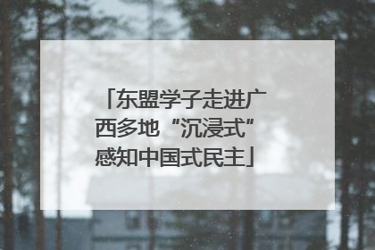 东盟学子走进广西多地“沉浸式”感知中国式民主