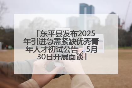 东平县发布2025年引进急需紧缺优秀青年人才初试公告，5月30日开展面谈