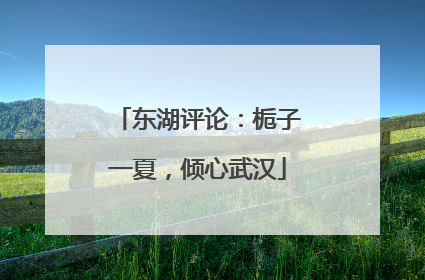 东湖评论：栀子一夏，倾心武汉