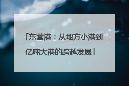 东营港：从地方小港到亿吨大港的跨越发展