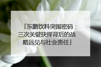 东鹏饮料突围密码：三次关键抉择背后的战略远见与社会责任
