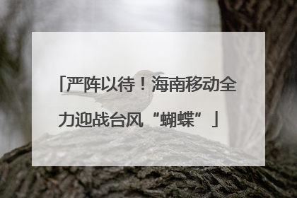 严阵以待！海南移动全力迎战台风“蝴蝶”