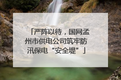 严阵以待，国网孟州市供电公司筑牢防汛保电“安全堤”