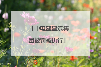 中电建建筑集团被罚被执行
