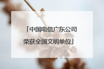 中国电信广东公司荣获全国文明单位