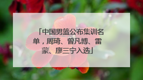 中国男篮公布集训名单，周琦、曾凡博、雷蒙、廖三宁入选