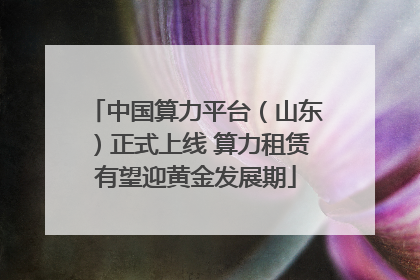 中国算力平台（山东）正式上线 算力租赁有望迎黄金发展期