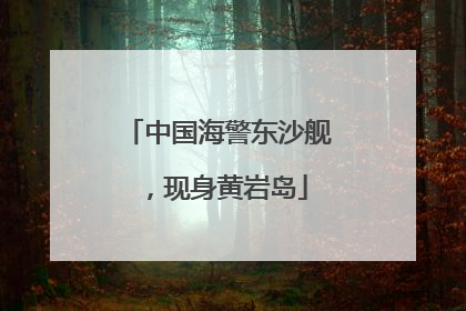 中国海警东沙舰，现身黄岩岛