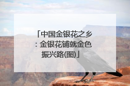 中国金银花之乡：金银花铺就金色振兴路(图)