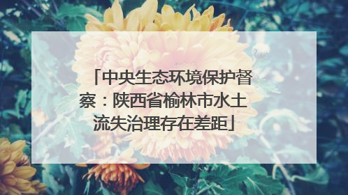 中央生态环境保护督察：陕西省榆林市水土流失治理存在差距