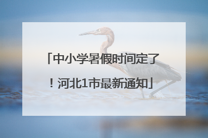 中小学暑假时间定了！河北1市最新通知
