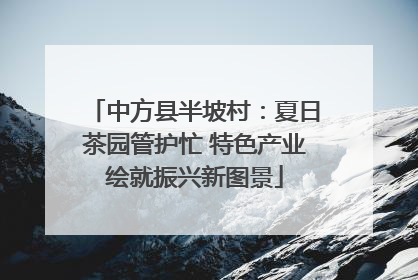 中方县半坡村：夏日茶园管护忙 特色产业绘就振兴新图景