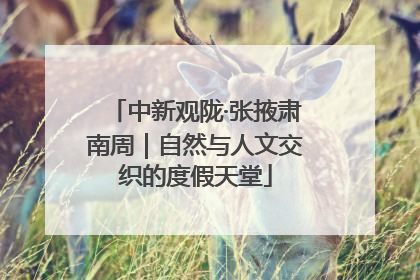 中新观陇·张掖肃南周｜自然与人文交织的度假天堂