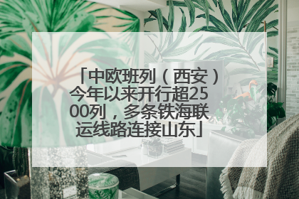 中欧班列（西安）今年以来开行超2500列，多条铁海联运线路连接山东