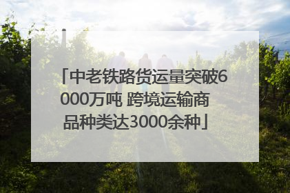 中老铁路货运量突破6000万吨 跨境运输商品种类达3000余种
