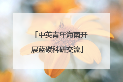 中英青年海南开展蓝碳科研交流