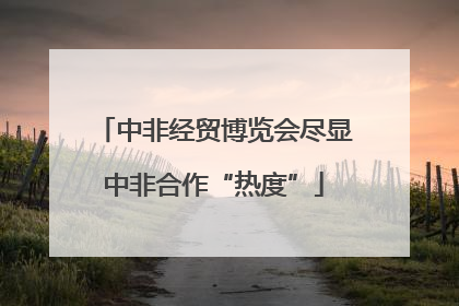 中非经贸博览会尽显中非合作“热度”