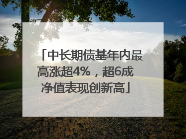 中长期债基年内最高涨超4%，超6成净值表现创新高