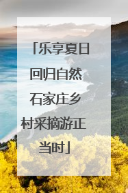 乐享夏日 回归自然 石家庄乡村采摘游正当时
