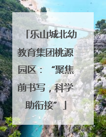 乐山城北幼教育集团桃源园区：“聚焦前书写，科学助衔接”