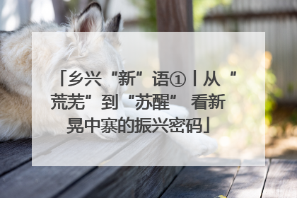 乡兴“新”语①丨从“荒芜”到“苏醒” 看新晃中寨的振兴密码