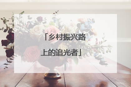 乡村振兴路上的追光者