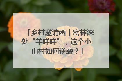 乡村邀请函｜密林深处“羊咩咩”，这个小山村如何逆袭？