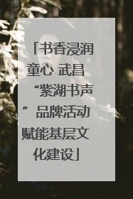 书香浸润童心 武昌“紫湖书声”品牌活动赋能基层文化建设