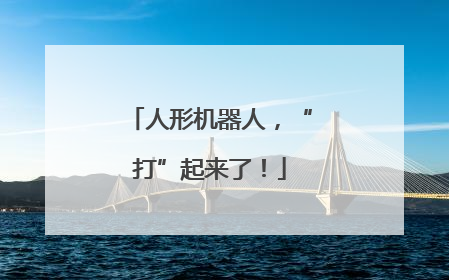 人形机器人，“打”起来了！