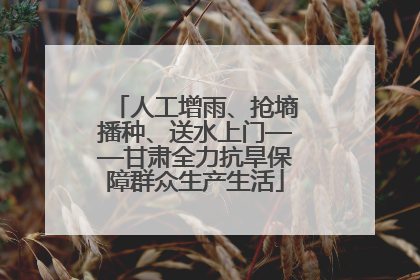人工增雨、抢墒播种、送水上门——甘肃全力抗旱保障群众生产生活