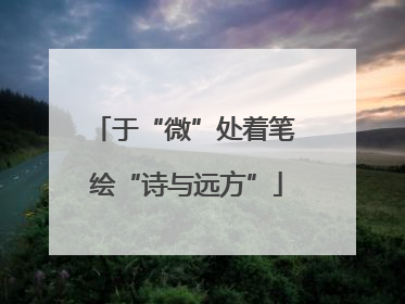 于“微”处着笔 绘“诗与远方”