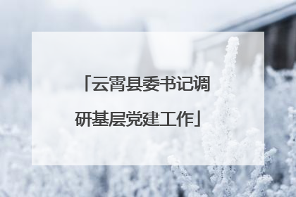 云霄县委书记调研基层党建工作