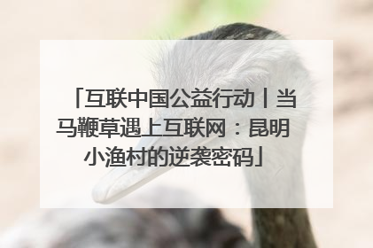 互联中国公益行动丨当马鞭草遇上互联网：昆明小渔村的逆袭密码