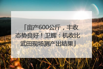 亩产600公斤，丰收态势良好！卫辉：机收比武田现场测产出结果