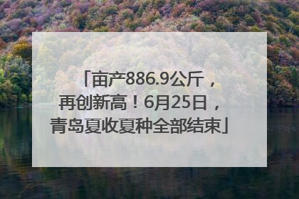 亩产886.9公斤，再创新高！6月25日，青岛夏收夏种全部结束