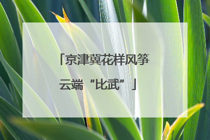 京津冀花样风筝云端“比武”