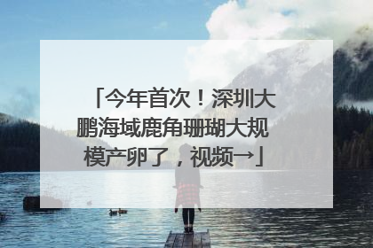 今年首次！深圳大鹏海域鹿角珊瑚大规模产卵了，视频→
