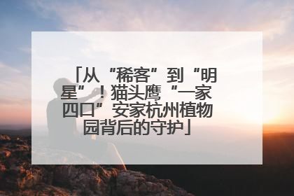 从“稀客”到“明星”！猫头鹰“一家四口”安家杭州植物园背后的守护
