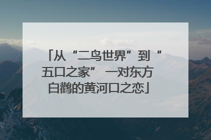 从“二鸟世界”到“五口之家” 一对东方白鹳的黄河口之恋