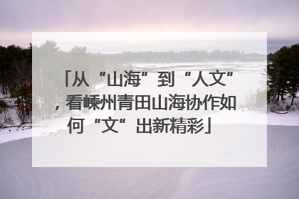 从“山海”到“人文”，看嵊州青田山海协作如何“文”出新精彩