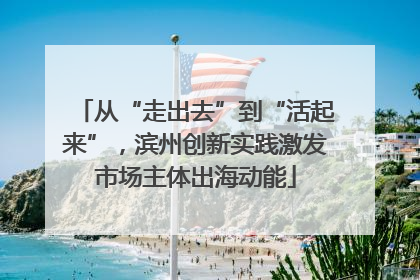 从“走出去”到“活起来”，滨州创新实践激发市场主体出海动能