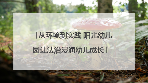 从环境到实践 阳光幼儿园让法治浸润幼儿成长